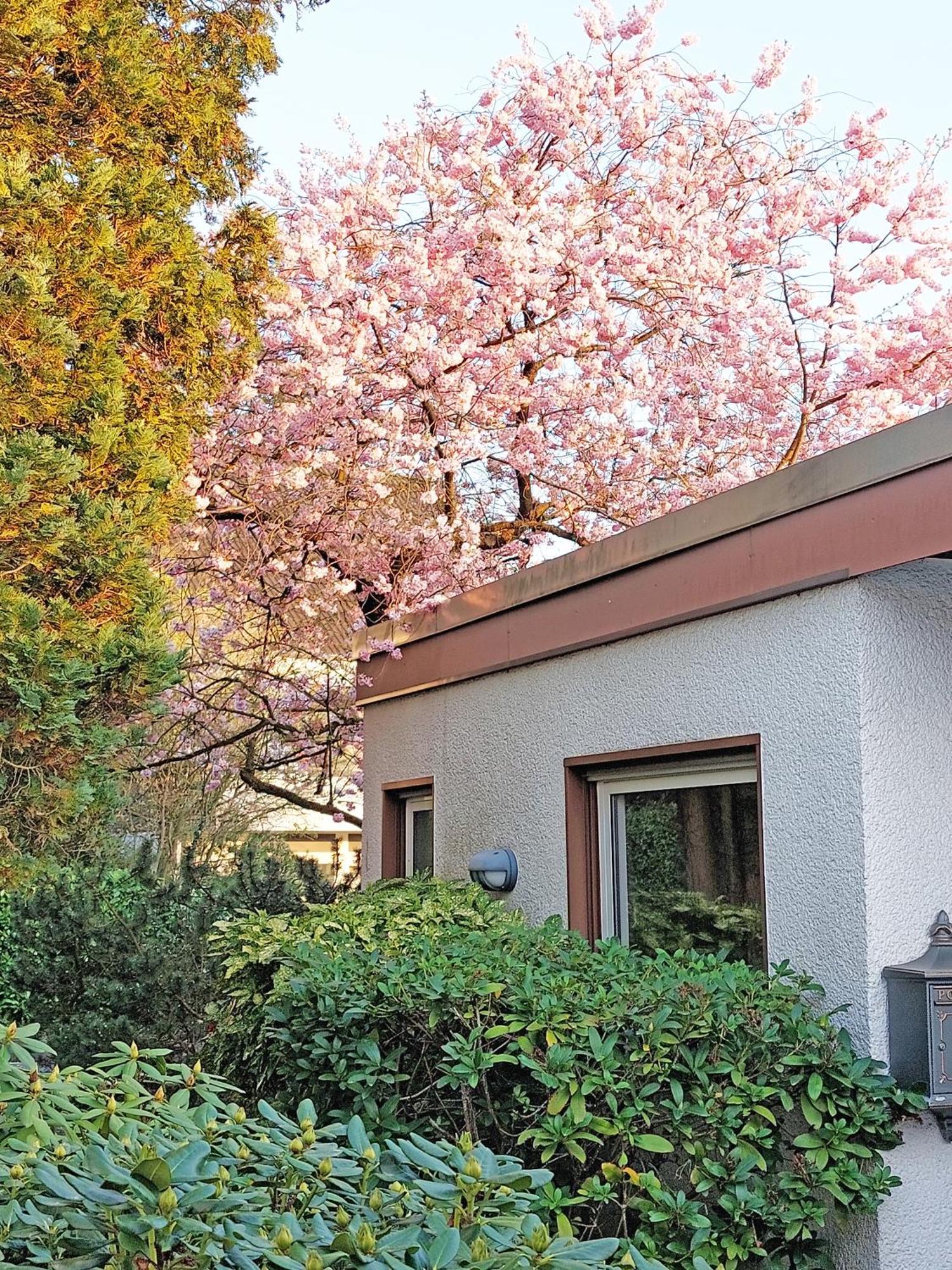 Apartment Close To Nature,Airport, Fair Ratingen Exterior photo